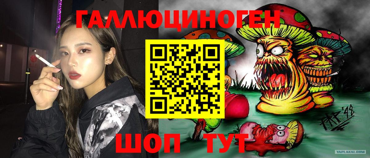 Галлюциногенные грибы мицелий Можга