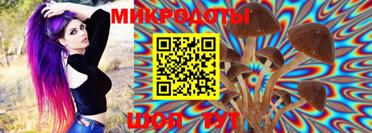 Псилоцибиновые грибы Magic Shrooms  Вход с VPN  Можга 