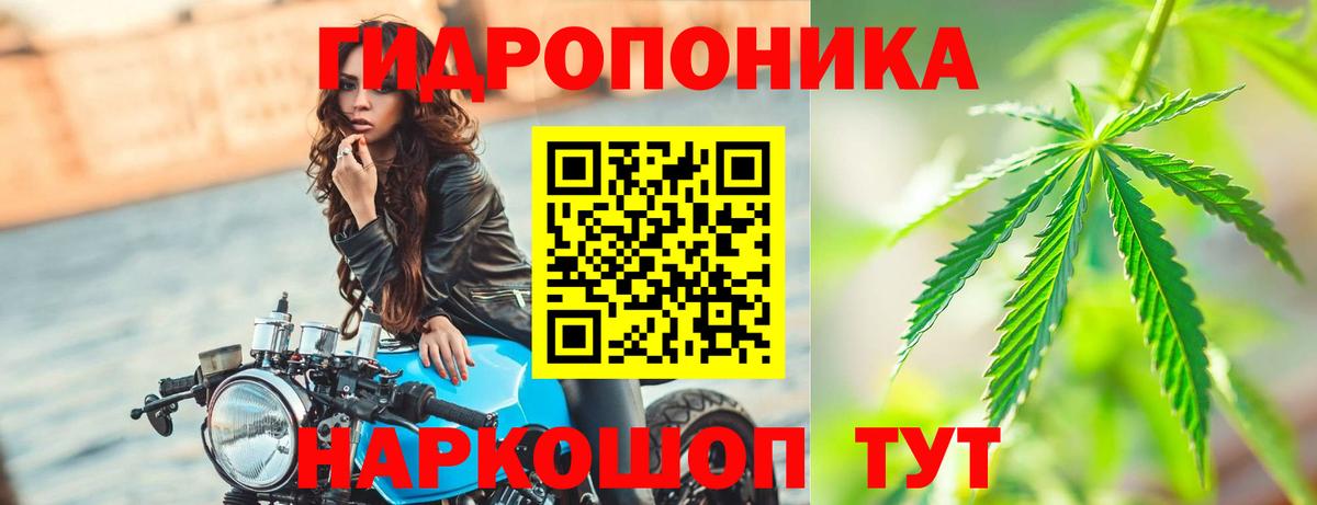 Бошки Шишки ГИДРОПОН Можга